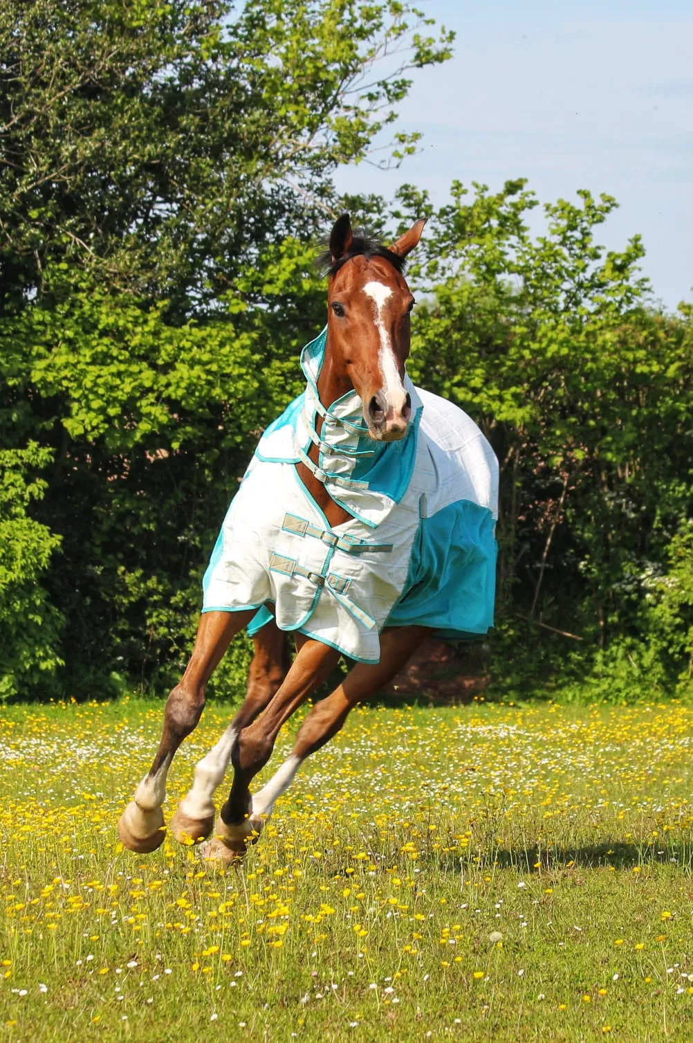 Allrounder Fly Rug Combo | Standard