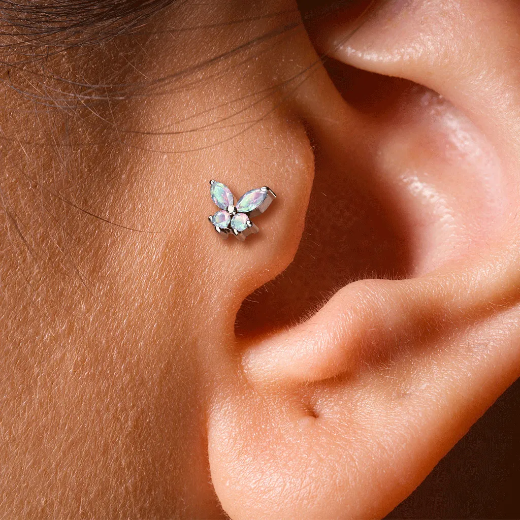 Bilpa Butterfly Body Jewellery with Gold Plating. Labret, Monroe, Tragus and Cartilage Earrings.