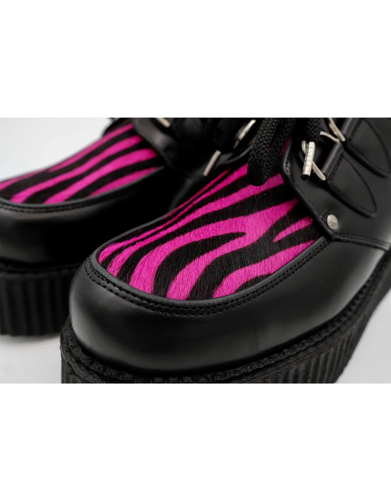 Zebra Double Creeper