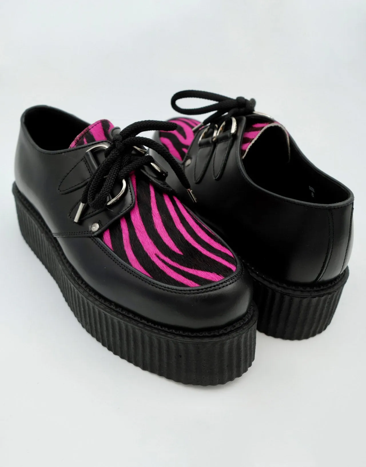 Zebra Double Creeper