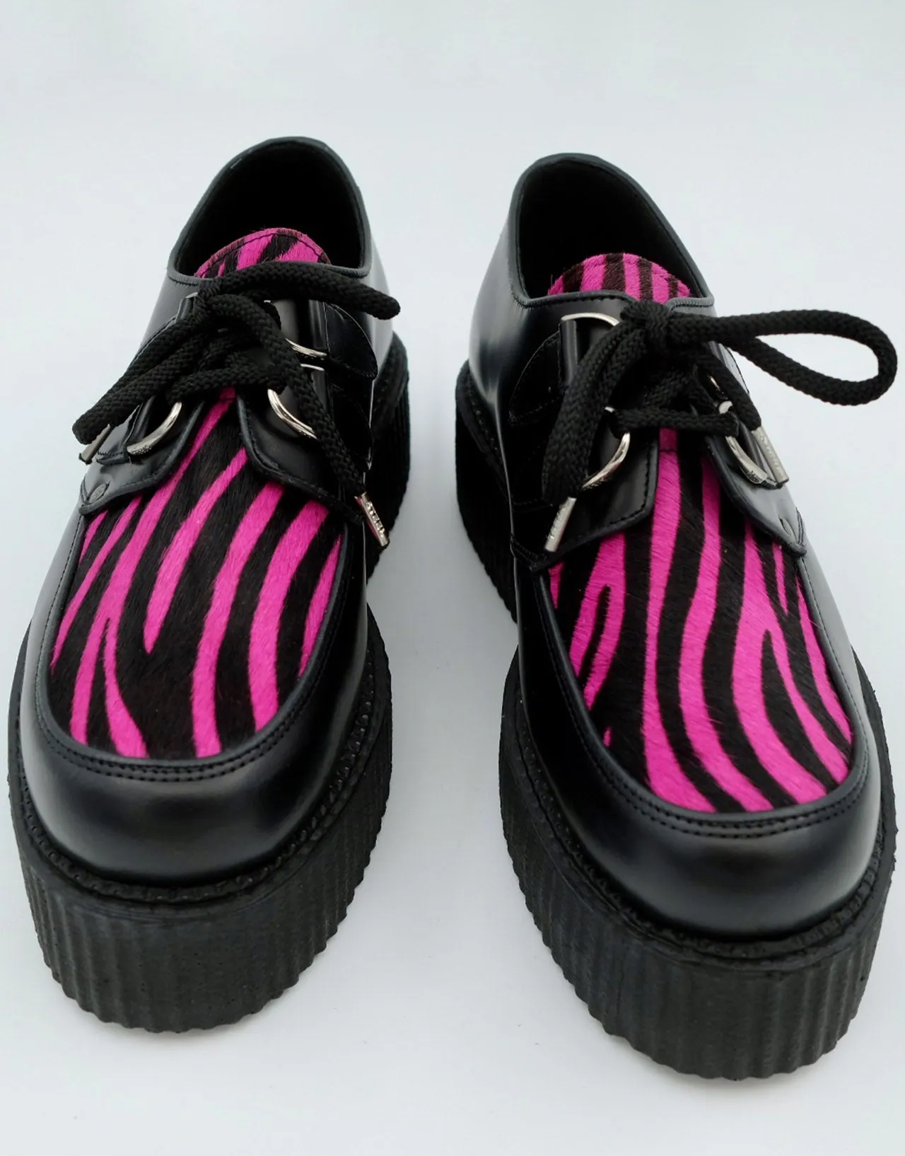 Zebra Double Creeper