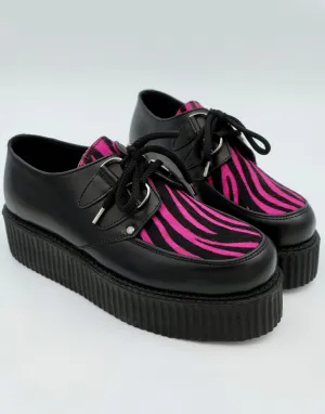 Zebra Double Creeper